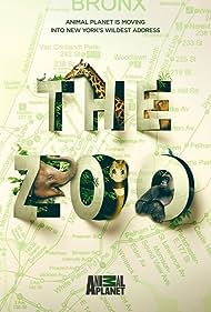 The Zoo (2017) watch-The Zoo (2017)