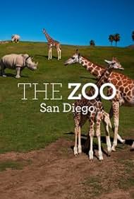 The Zoo: San Diego (2019) watch-The Zoo: San Diego (2019)