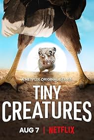 watch-Tiny Creatures (2020)
