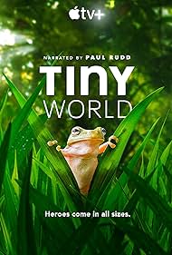 Tiny World (2020) watch-Tiny World (2020)