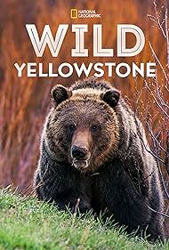 watch-Wild Yellowstone (2015)