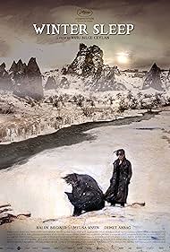 watch-Winter Sleep (2014)